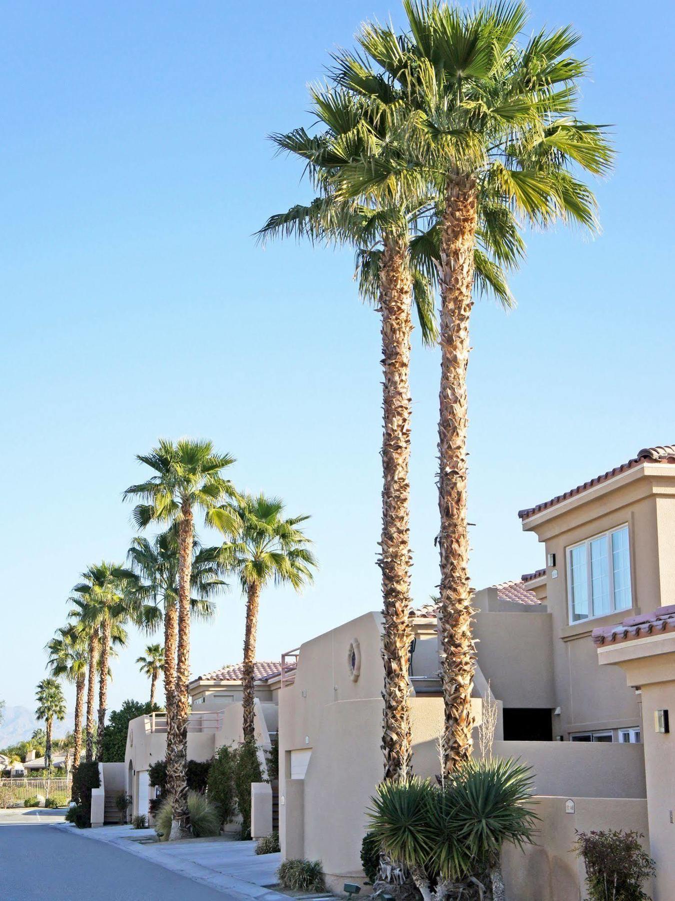 Raintree's Cimarron Golf Palm Springs